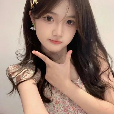 斯文尼西亚的运盐海报