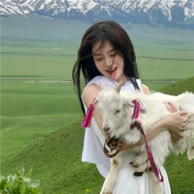 汤与意识形态海报