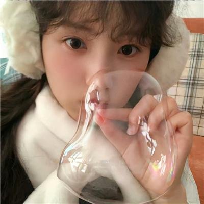重庆森林海报